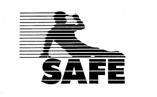 SAFE logo
