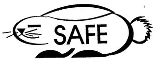 SAFE logo