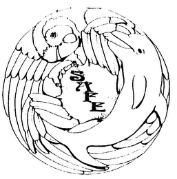 SAFE logo