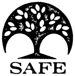 SAFE logo