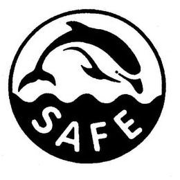 SAFE logo