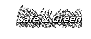 SAFE & GREEN logo