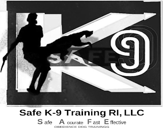 SAFE K9 SAFE K9 TRAINING RI, LLC SAFE ACCURATE FAST EFFECTIVE OBEDIENCE DOG TRAINING logo