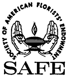 SAFE (PLUS OTHER NOTATIONS) logo