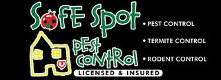SAFE SPOT PEST CONTROL TERMITE CONTROL RODENT CONTROL  LICENSED & INSURED logo