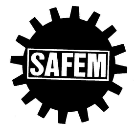 SAFEM logo