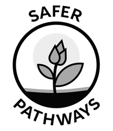 SAFER PATHWAYS logo