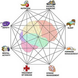 SAFETY, NUTRITION, PHYSICAL EXERCISE, MENTAL ACTIVITY, SLEEP, STRESS MANAGEMENT, HORMONE MANAGEMENT, TREATMENT OF DISEASE logo