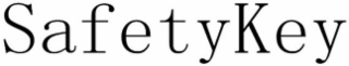 SAFETYKEY logo