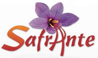 SAFRANTE logo