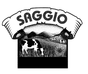 SAGGIO MADE IN WISCONSIN logo