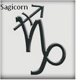 SAGICORN logo