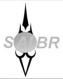 SAIBR logo