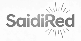 SAIDIRED logo