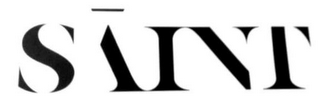 SAINT logo