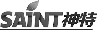 SAINT logo