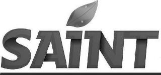 SAINT logo