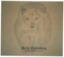 SAINT PUBLISHING LIMITED LIABILITY L.L.C. CO logo