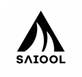 SAIOOL logo