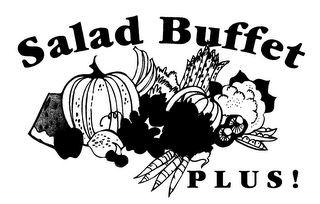 SALAD BUFFET PLUS! logo