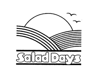 SALAD DAYS logo