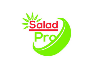 SALAD PRO logo