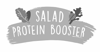 SALAD PROTEIN BOOSTER logo