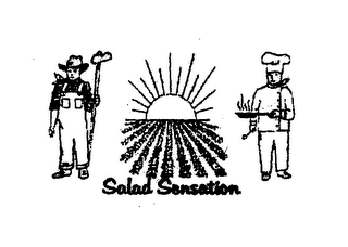 SALAD SENSATION logo