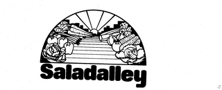 SALADALLEY logo