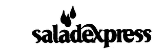 SALADEXPRESS logo