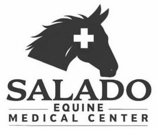 SALADO EQUINE MEDICAL CENTER logo