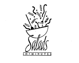 SALADS IN - MINUTES logo