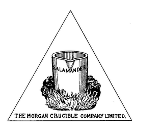 SALAMANDER THE MORGAN CRUCIBLE COMPANY LIMITED. logo