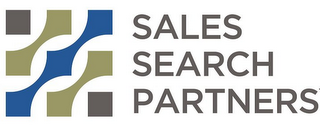 SALES SEARCH PARTNERS logo