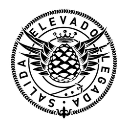 SALIDA ELEVADO LLEGADA logo