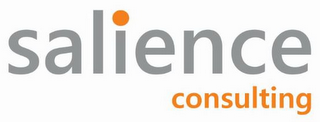 SALIENCE CONSULTING logo
