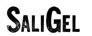 SALIGEL logo