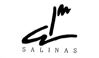 SALINAS logo