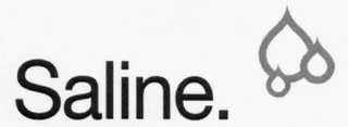 SALINE. logo