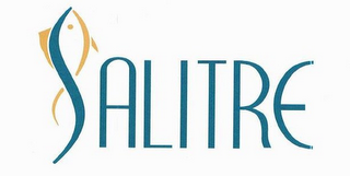 SALITRE logo