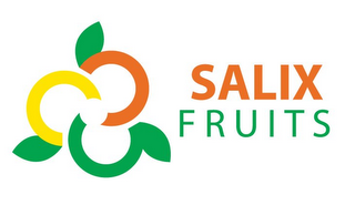 SALIX FRUITS logo
