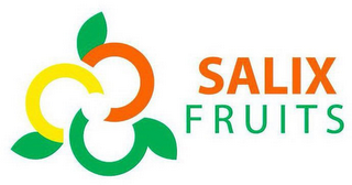 SALIX FRUITS logo