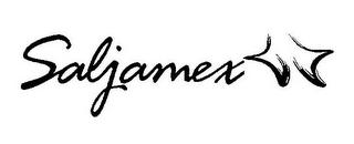 SALJAMEX logo