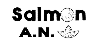 SALMON A.N. logo