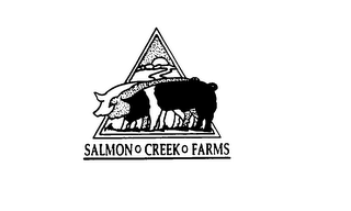 SALMON CREEK FARMS logo