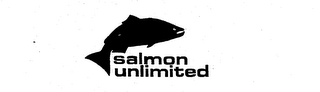 SALMON UNLIMITED logo