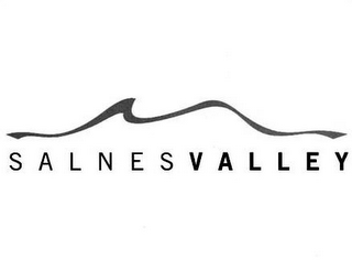 SALNES VALLEY logo