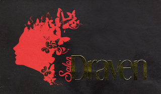 SALON DRAVEN logo