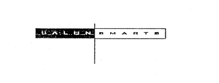 SALON SMARTS logo