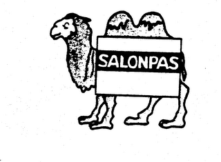 SALONPAS logo